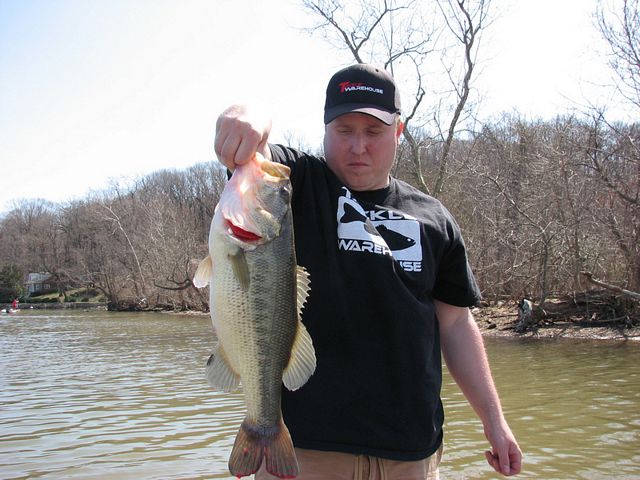 Aaron Browning 6lber